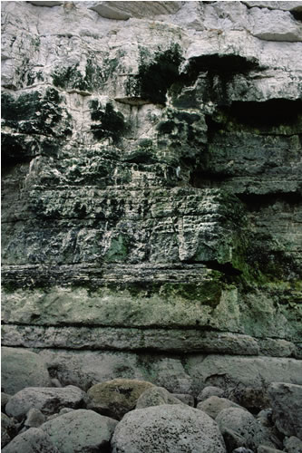 LR.FLR.CVOV.GCv Green algal films on upper and mid-shore cave walls and ceilings, Buckton Cliffs, Flamborough Head. Rohan Holt© JNCC