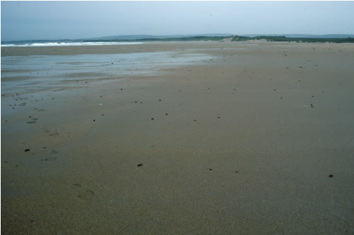LS.LSA.MOSA.BarSa Barren littoral coarse sand, W Peffer Sands, North Berwick. Rohan Holt© JNCC