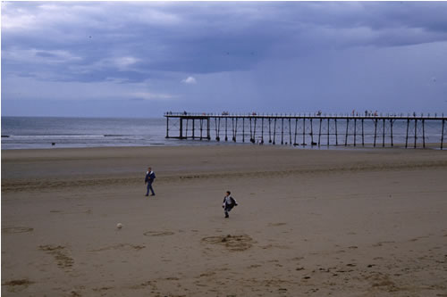 LS.LSA.MOSA.AmSco.Pon Pontocrates arenarius in littoral mobile sand, Saltburn Beach. Eleanor Murray© JNCC