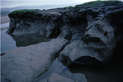 LS.LSA.FISA.Po.Ang Polychaetes and Macomangulus tenuis in littoral fine sand, N of Llanaber (shore), Barmouth. Paul Brazier© JNCC