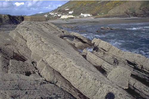 LR.HLR.MUSB.Cht.Cht Chthamalus spp. on exposed upper eulittoral rock, Cornwall. Kate Northen© JNCC