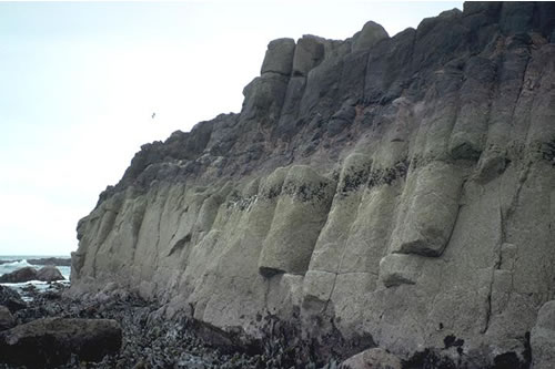 LR.HLR.MUSB.Cht Chthamalus spp. on exposed eulittoral rock, Broadhaven, Dunbar. Jon Davies© JNCC