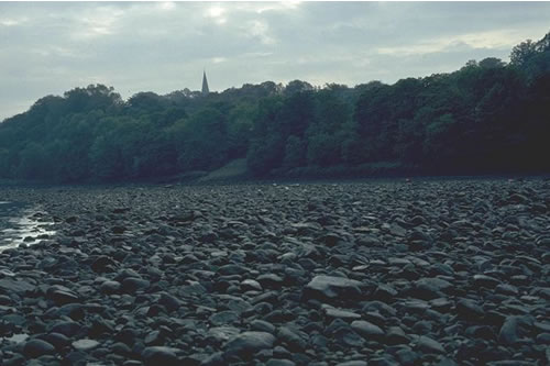 LR.FLR.EPH.EphX Ephemeral green and red seaweeds on variable salinity and/or disturbed eulittoral mixed substrata, Ryton Island, Tyne Estuary. Eleanor Murray© JNCC