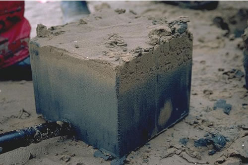 LS.LSA.MUSA.MacAre Macoma balthica and Arenicola marina in littoral muddy sand, Humber Estuary. Bill Sanderson© JNCC