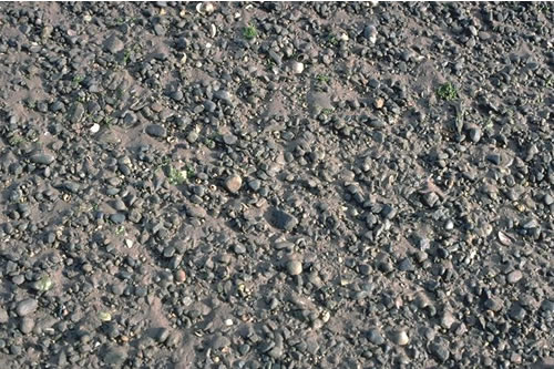 LS.LSA.MOSA.Ol.VS Oligochaetes in variable salinity littoral mobile sand, Newbiggin Viaduct, Ravenglass. Dave Mills© JNCC