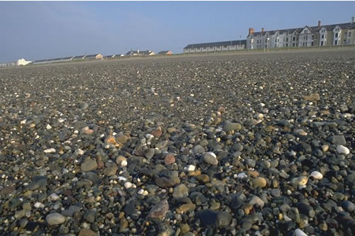LS.LCS.SH.BarSh Barren littoral shingle, South Beach, Pwllheli. Paul Brazier© JNCC