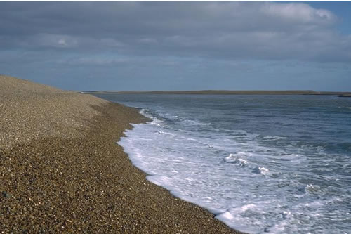 LS.LCS.SH.BarSh Barren littoral shingle, Unspecified location. David Connor© JNCC