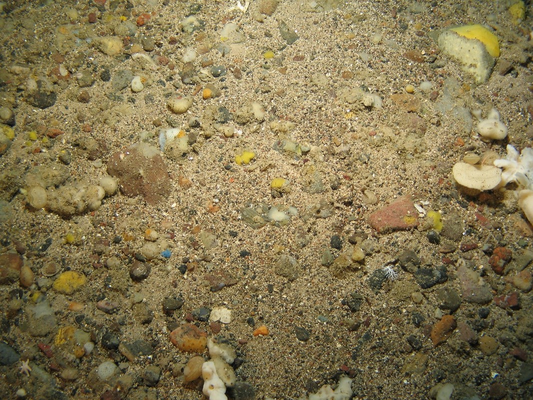 M.AAUB.Co.DeeSpo.GeoSpo Geodia and other massive sponges on Atlanto-Arctic upper bathyal coarse sediment, West Shetland Channel. ANON© MSS/JNCC/University of Plymouth